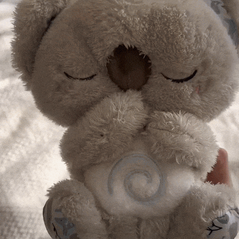 Cozy Koala Sleep Toy Soothing Light Relaxation - Image 8