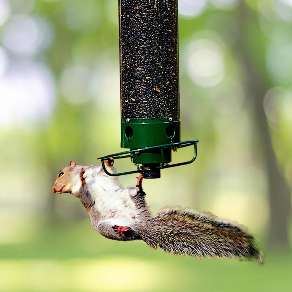 Squirrel Proof Bird Feeder Multi Port Design Easy Fill